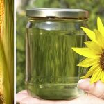 Making fuel for cars at home. Is it possible? 